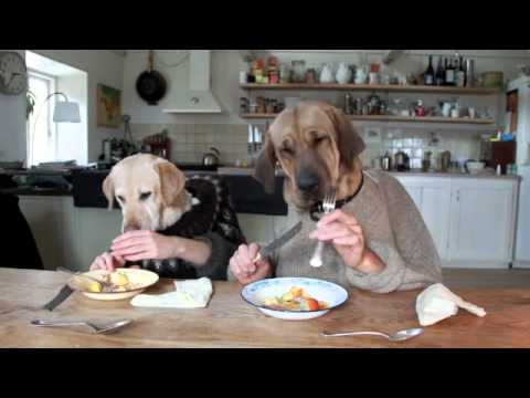Two Very Funny Dogs Dining