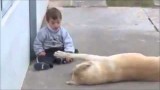 Dog and  Down Syndrome Boy