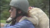 Dog named “Dog” “seating” a  motorcycle(video)