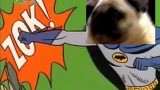 Pug singing Batman theme song video