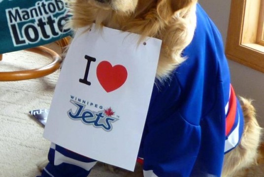 Brody The Dog Winnipeg Jets fan
