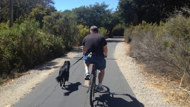 Decided to take the Dog for a Bike Ride – Who’s In Charge Here?