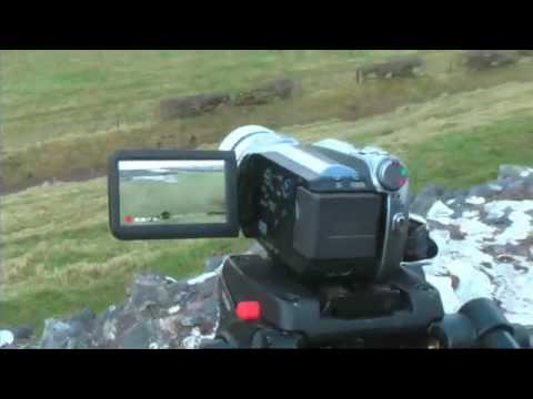High-tech Shepherding In Wales(video)